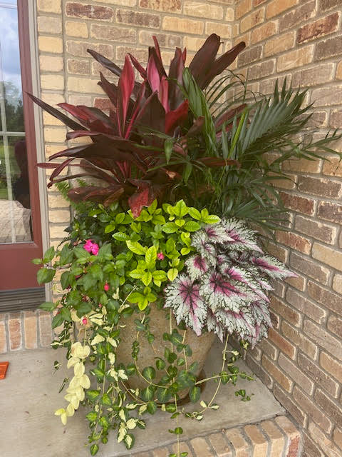 Custom XL Summer Arrangement - Use for 360 designs - (designed onsite)